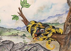 Serpent roches méchant jaune noir